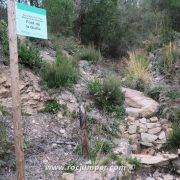 Font de la Guilla - GR-92 Sant Feliu de Guíxols - Tossa de Mar