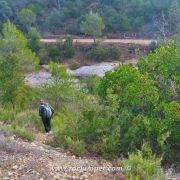 Bajar al Torrent de Flequer