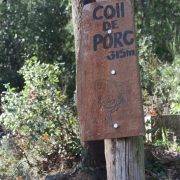 Coll de Porc