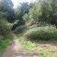 02 Gr92 20 Sant Vicenc Horts Bruguers Rocjumper