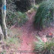 Sendero desvío al Cova de Bruguers