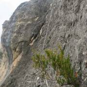 Tramo Vertical Corto - Vía Ferrata Piedra del Castillo o El Castillo de Fuertescusa