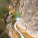 022 Barranc Pas Escalell Castell Areny RocjumperIMG 20180624 23245