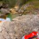 023 Barranc Pas Escalell Castell Areny RocjumperIMG 20180624 23251