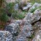 023 Via Ferrata Santo Cristo Olvena 2025 Rocjumper