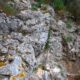 028 Via Ferrata Santo Cristo Olvena 2025 Rocjumper