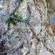 031 Via Ferrata Santo Cristo Olvena 2025 Rocjumper