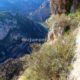 057 Via Ferrata Santo Cristo Olvena 2025 Rocjumper