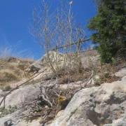 Llegando a la cima - Vía Ferrata Santo Cristo de Olvena