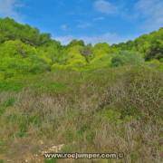 bosque de la marquesa