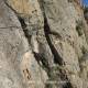 24 Via Ferrata Sergi Castillonroy Rocjumper