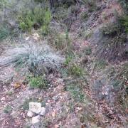 Dejar la valla para subir por sendero