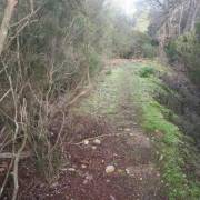 Enlace sendero - Llinars del Vallès