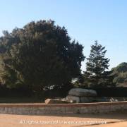 Dolmen Creu d'en Boquet