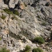 Caminar Tramo 1 - Vía Ferrata Almadeo - Huesa del Común