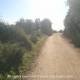 08 Gr92 17 Coll Font Cera Alella Park Montcada Rocjumper