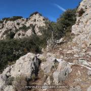 Escape - Vía Quercus - Serra de Queralt 