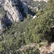 Sendero descenso - Vía Quercus - Serra de Queralt 