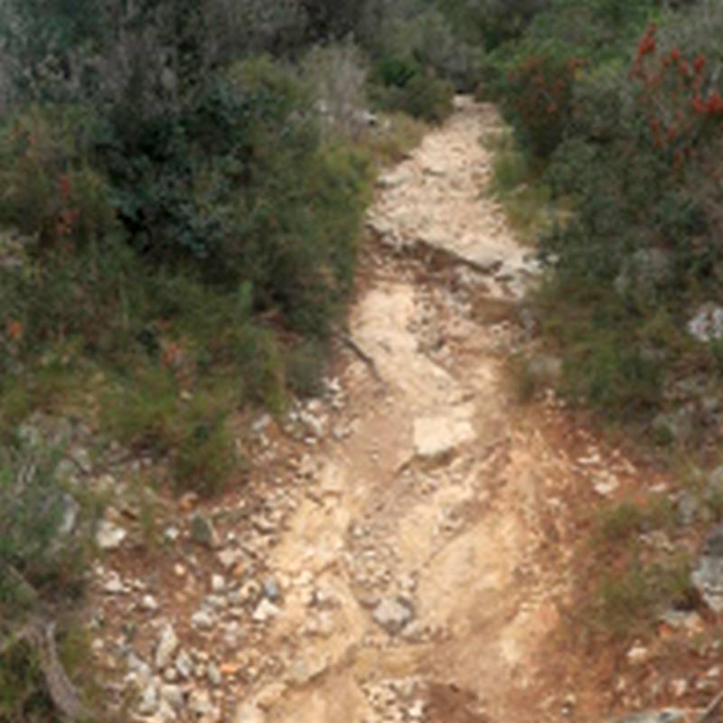 Sendero hacia Serra de Montsià
