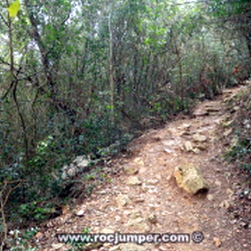 Sendero desde Font del Burgar