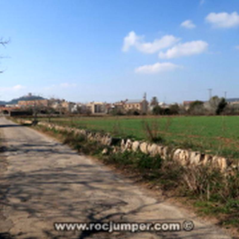 Carretera secundaria Ulldecona