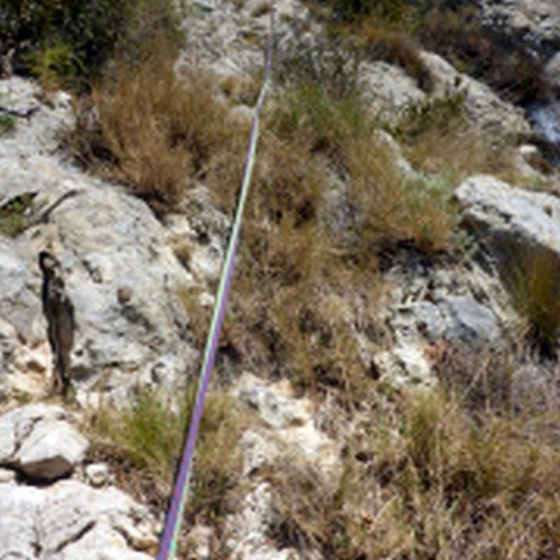 Largo 1 - Vía Mossen Tronxo - Serra de Queralt - Berga - Rocjumper