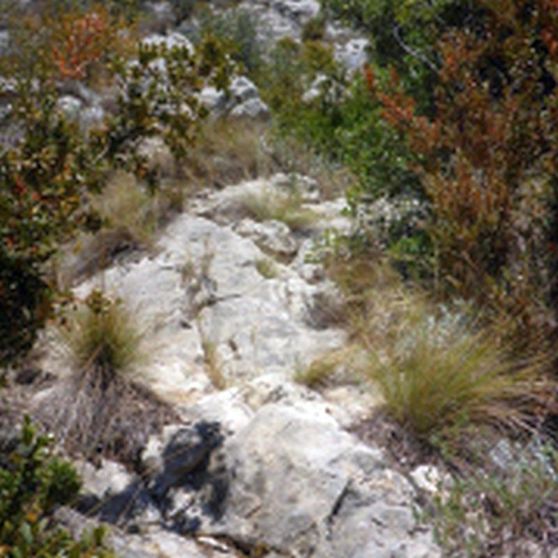 Gradas Largo 2 - Vía Mossen Tronxo - Serra de Queralt - Berga - Rocjumper