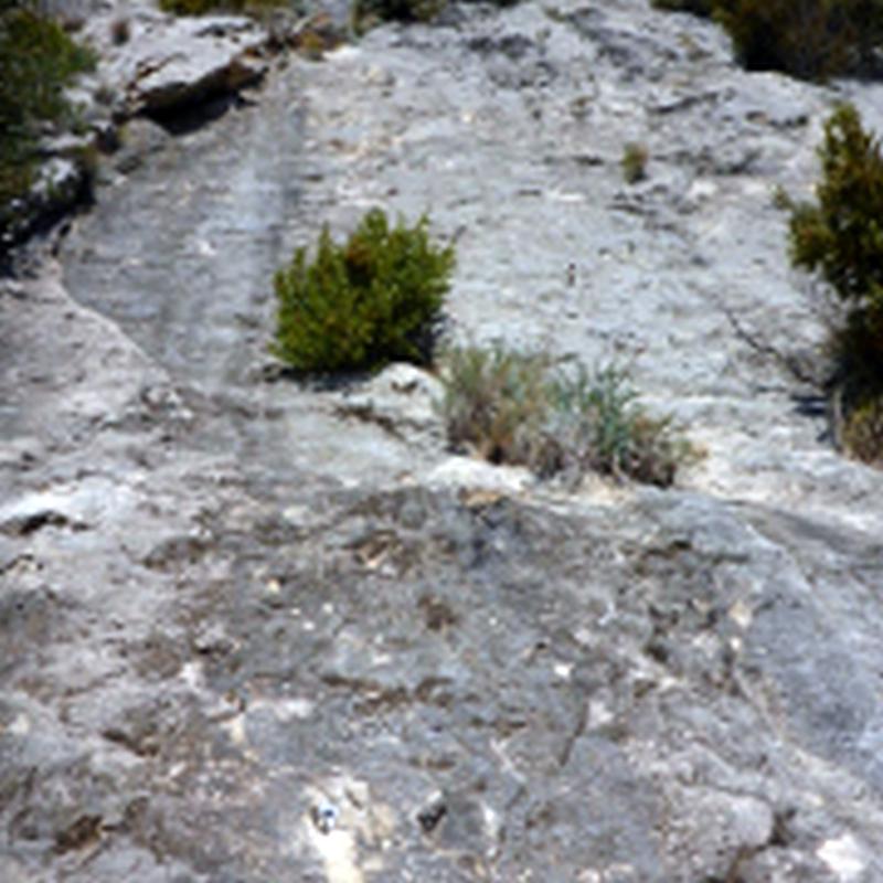 Reunión 2 - Vía Mossen Tronxo - Serra de Queralt - Berga - Rocjumper