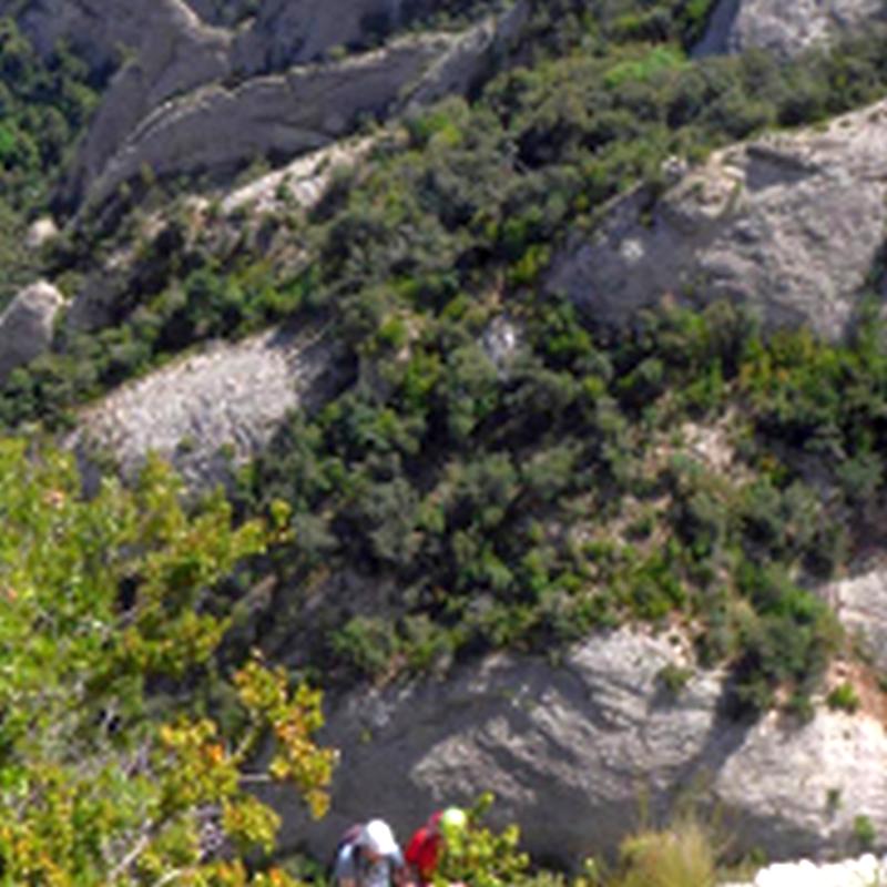 Largo 6 Vía Camí de l'Alsina - Miranda de Pas dels Francesos - Montserrat