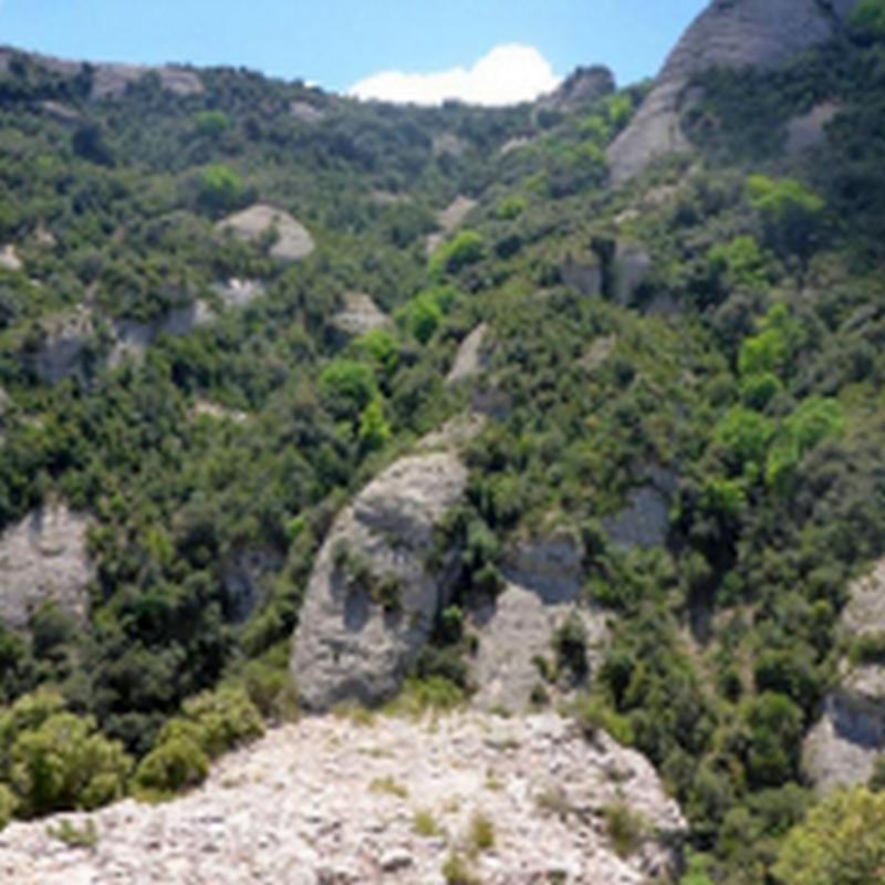 Vistas desde Reunión Largo 6 Vía Camí de l'Alsina - Miranda de Pas dels Francesos - Montserrat