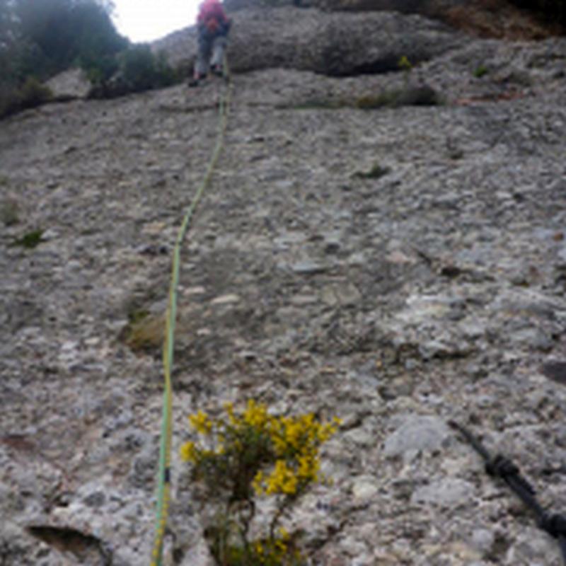 Largo 2 - Vía El Cargolet - Camping Montserrat