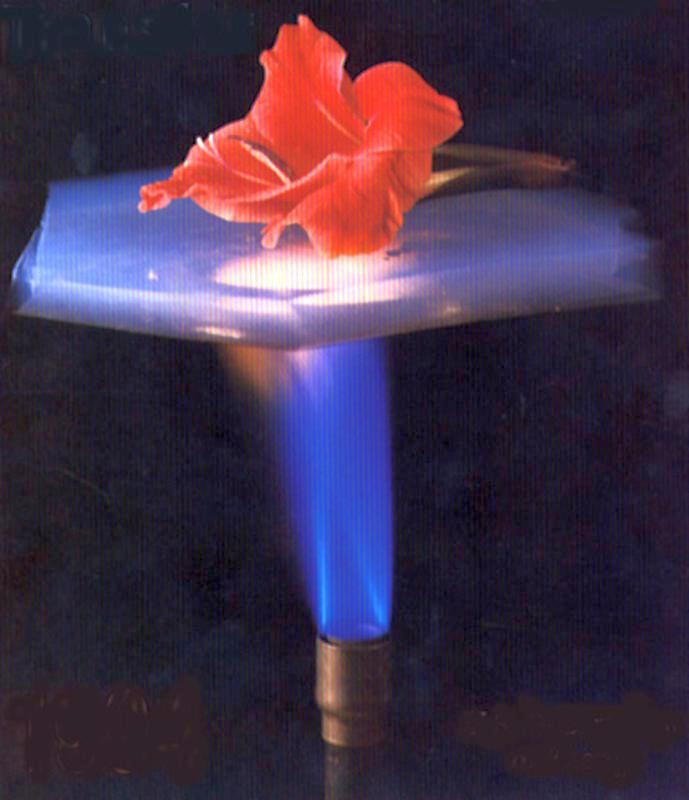 Aerogel Flower
