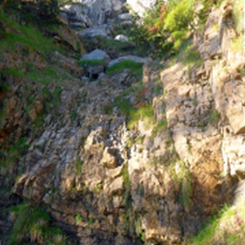 Remontar el Torrente