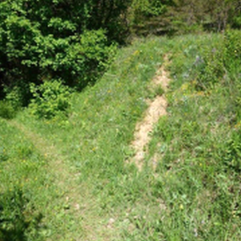 Desvío Sendero hacia pared del devessó