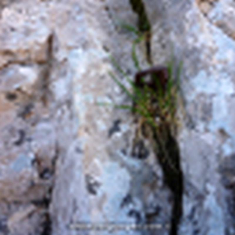 029 Via Estasen Calderer Pedraforca Rocjumper