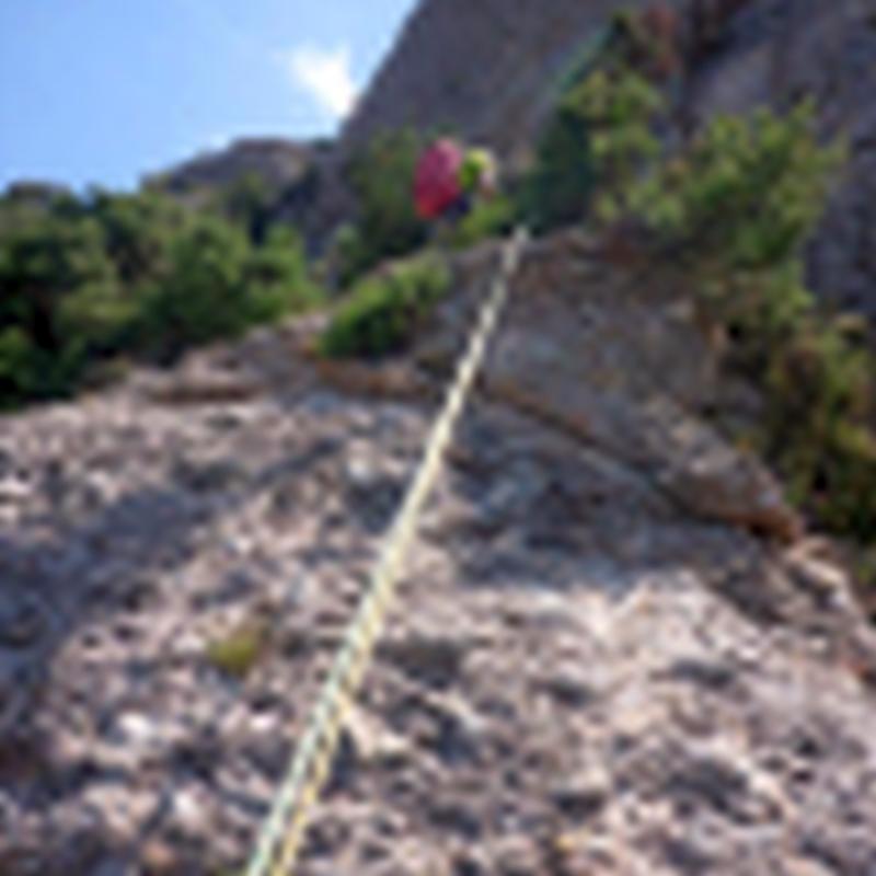 032 Via Funcio Clorofillica Pastereta Montserrat Rocjumper