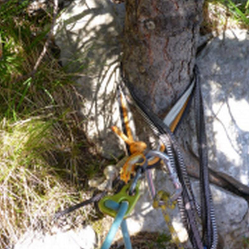 Reunión árbol Largo 1 - Vía Estasen Calderer Pedraforca