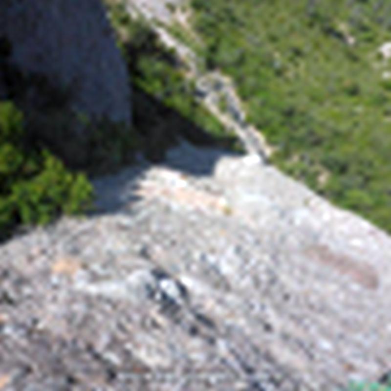 033 Via Funcio Clorofillica Pastereta Montserrat Rocjumper