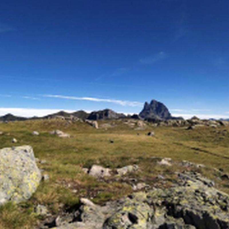 Caballos en Ibones de anayet con Midi d'Ossau al fondo