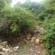 Sendero salida - Barranco Aigua de Llinars o Aiguadora - RocJumper