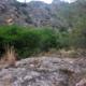 002 Via Campions Codolosa Montserrat Rocjumper