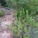 007 Via Princesetes Bosc Agulla Foradada Montserrat Rocjumper