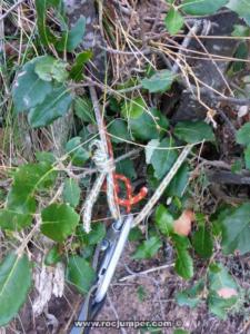 Cordino arbusto - Vía Princesetes del Bosc - Agulla de la Foradada - Montserrat - RocJumper