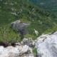 031 Via Ferrata Klettersteig Schustergangl Steinplatte Rocjumper