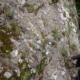 12 Via Ulu Apa Ullals Magdalena Montserrat Rocjumper