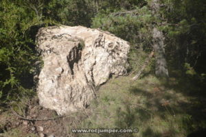 Roca en medio del sendero - Rasa del Saltant