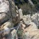 038 Aresta Ger Roc Ponent Poblet Rocjumper