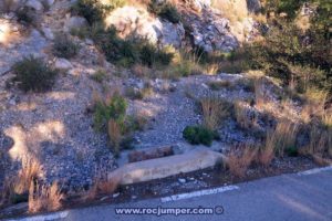Sendero aproximación - Vía Mutant World - Pic de Martell - Garraf - RocJumper