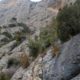 013 Via Ferrata Serra Canals Oliana Rocjumper