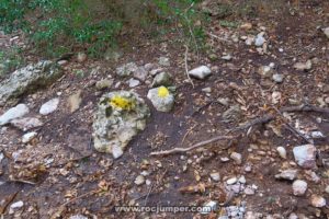Marcas Amarillas - Vía Esquivabolas - Cajoleta - Montserrat - RocJumper